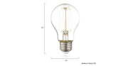 Aria A19 Shape LED Filament Light Bulb