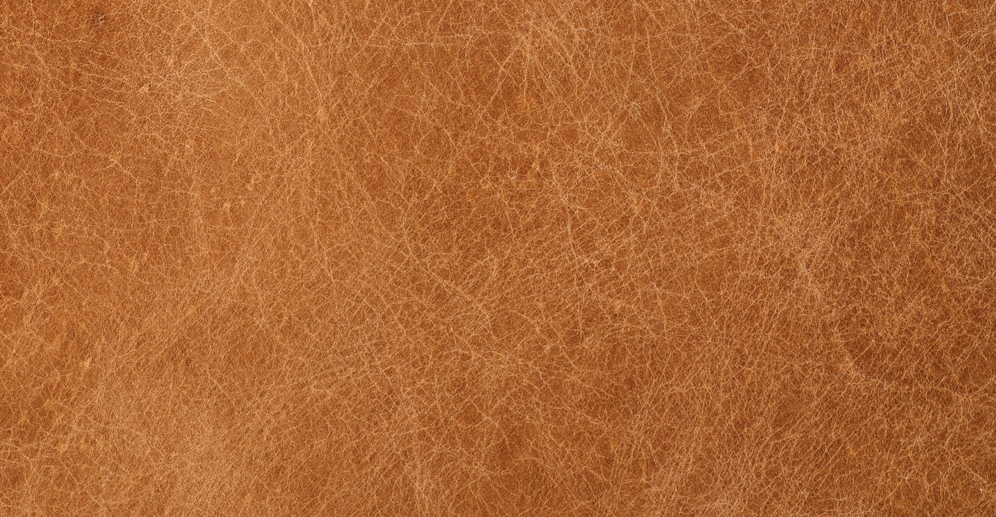 Sorrento Leather Pull-Out Convertible Sleeper Sofa